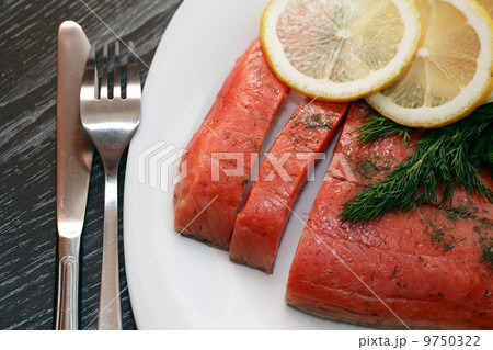 Salmon Fillet Salmon Fillet 9750322