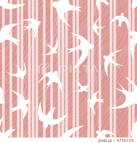 swallow on  striped pink background 9750720