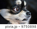 え〜そんなぁ… 9750898