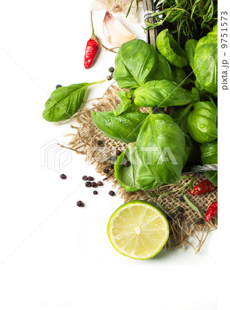 basil and lime over white basil and lime over white 9751573
