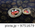 下鴨神社　流しびな 9751679