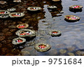 下鴨神社　流しびな 9751684