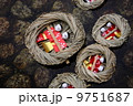下鴨神社　流しびな 9751687