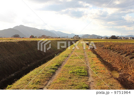秋の黒豆畑と農道 秋の黒豆畑と農道 9751964