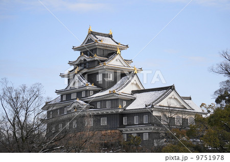 冬の岡山城 9751978
