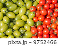 Cherry Tomato 9752466