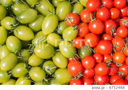 Cherry Tomato Cherry Tomato 9752466