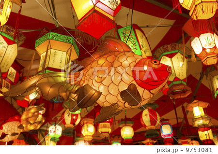 金魚のランタン 金魚のランタン 9753081