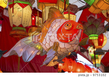 金魚のランタンの写真素材 [9753102] - PIXTA