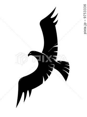 Black eagle flying with spread wings 9753336