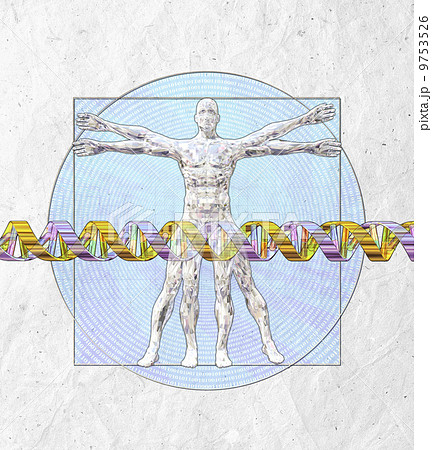 人体と遺伝子配列のイメージ 人体と遺伝子配列のイメージ 9753526