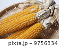 トウモロコシ　 9756334