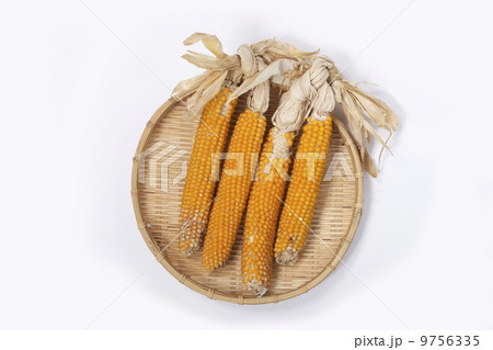 トウモロコシ トウモロコシ 9756335
