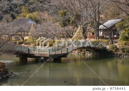 町田市薬師池公園　２月 9756441
