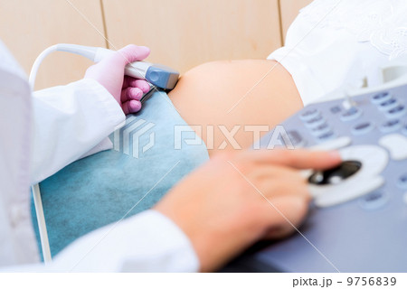 hand and abdominal ultrasound scanner hand and abdominal ultrasound scanner 9756839