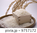 枡と米 9757172