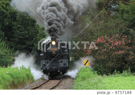 真岡鐵道「SLと木々覆う煙」 9757188