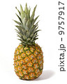 パイナップル 9757917