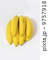 バナナ 9757918