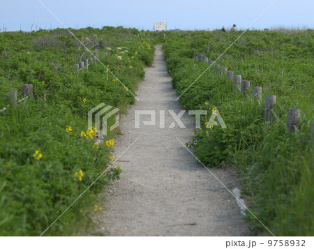 野付半島の遊歩道 9758932