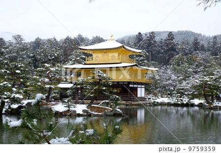 雪の金閣寺 雪の金閣寺 9759359