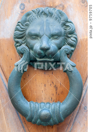 Vintage knocker door of metal lion 9759705