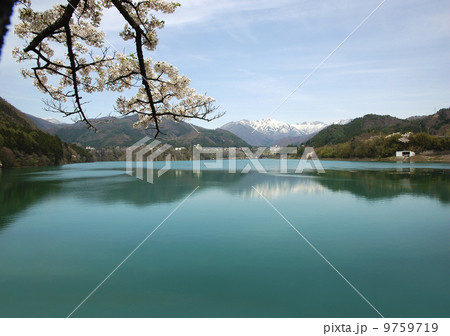 赤谷湖と桜 9759719