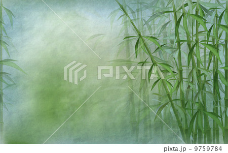 oriental background with bamboo stalks - old paper texture, shades of green 9759784