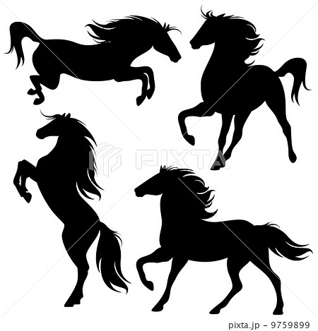 set of fine horses silhouettes - detailed black animals over white 9759899