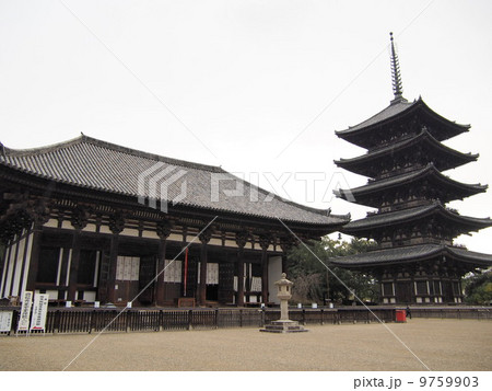 興福寺 霧雨の東金堂と五重塔  9759903