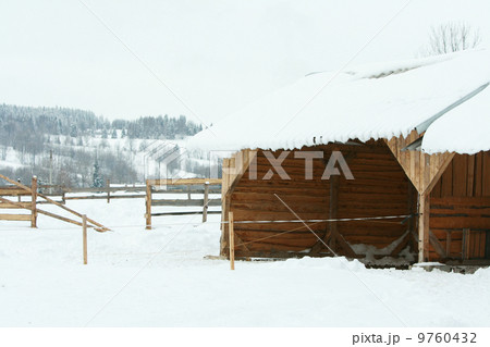 Stable for horses in winter 9760432