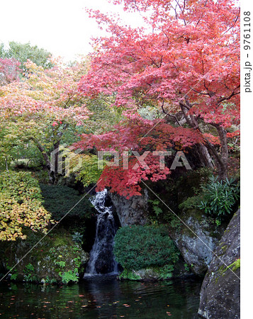 紅葉　箱根美術館　強羅 9761108
