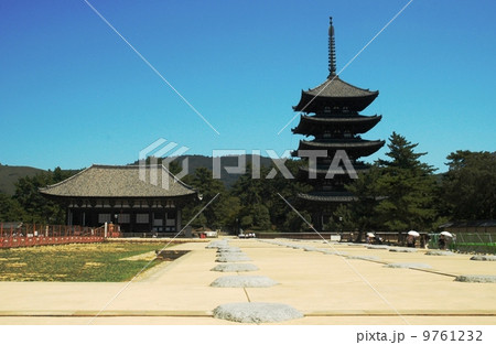 奈良の興福寺の五重塔と東金堂 9761232