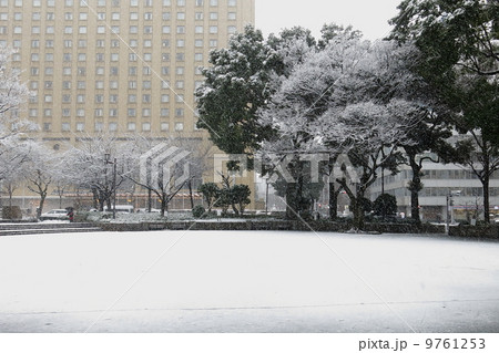 冬の日 9761253