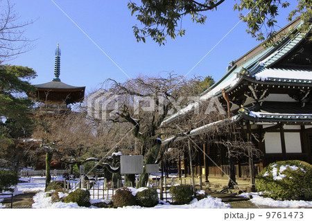 雪の豪徳寺 雪の豪徳寺 9761473