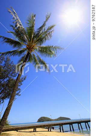 晴天のパームコーブ 9762587