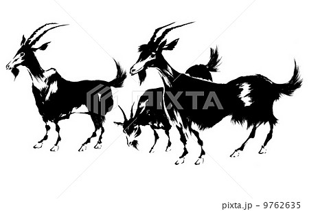 ひつじ日本画 9762635