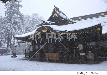 雪舞う　大国魂神社　府中市 9762886