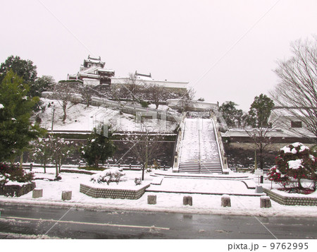 福知山城の冬景色 9762995