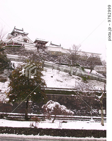 福知山城の冬景色 9762999