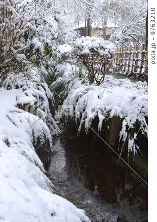 雪の国分寺　東京 9763210