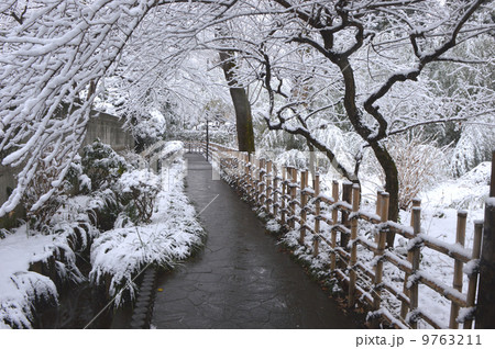 雪の国分寺 東京 雪の国分寺 東京 9763211