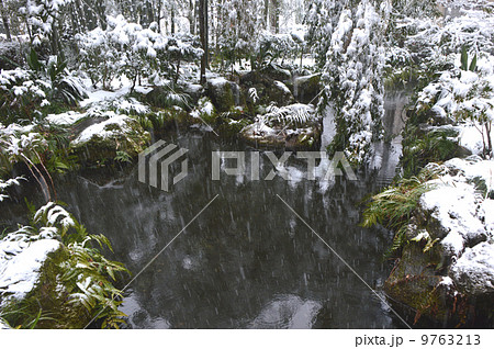 雪の国分寺 東京 雪の国分寺 東京 9763213