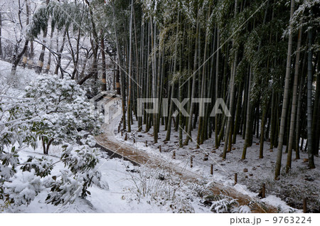 雪の国分寺　東京 9763224