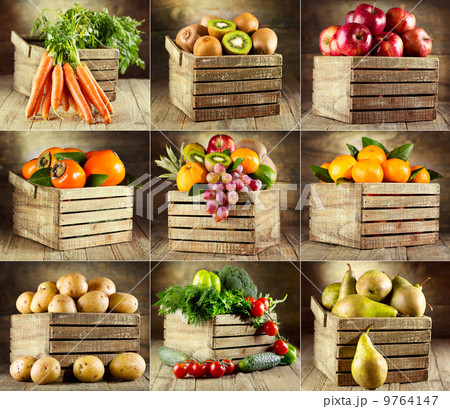 collage of various fruits and vegetables collage of various fruits and vegetables 9764147