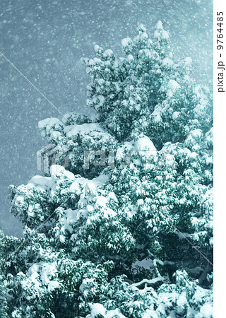 雪が降る 雪が降る 9764485