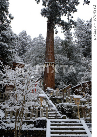 由岐神社のご神木 9764532