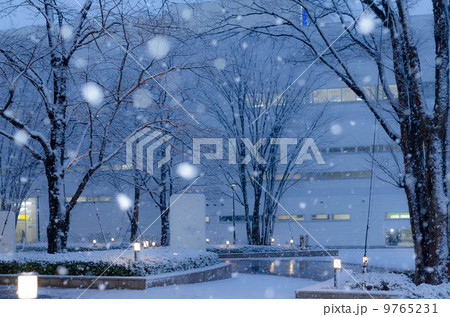 柏の葉キャンパスの雪 9765231
