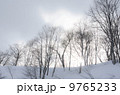 冬景色 9765233