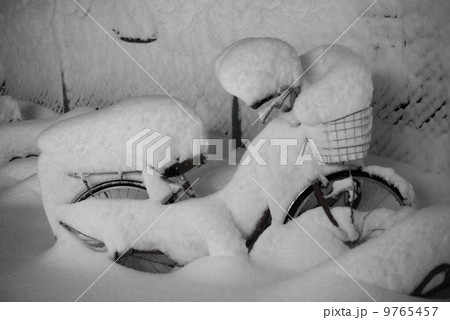 平成26年豪雪 9765457